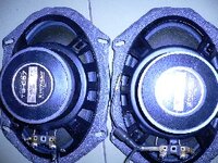 pioneer (carrozzeria) 1.jpg