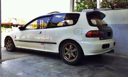 wgr tepi.webp