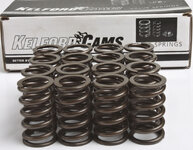 Kelford valves spring.jpg