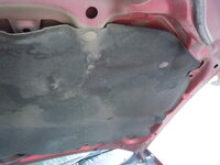 Hood Insulator.jpg