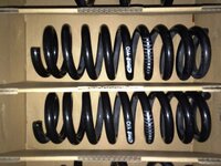 F30 Eibach Pro Kit Sport Springs (2).jpg