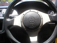 P1010007 small size.JPG