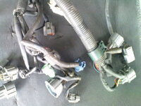 engine wiring.JPG
