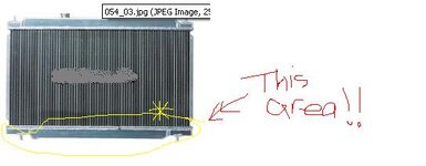 Radiator's bottom.JPG