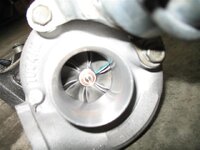 IMG_0050 (Small).jpg