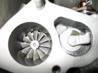 IMG_0054 (Small).jpg