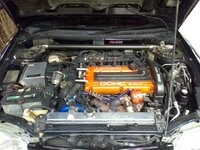 24052009405.jpg