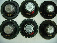 Alpine DD LInear (2).JPG