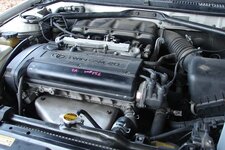 Copy of DSC00604.JPG