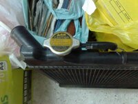 Resize of Image1133.jpg