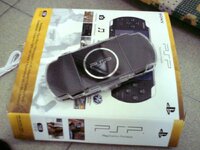 psp (b).jpg