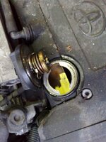 Resize of Image1889.jpg