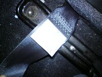 seatbelt.JPG