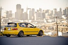 eg6 yellow.jpg