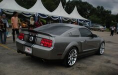 SHELBY GT 500b.jpg