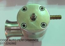 Ship Dog Bov (2).JPG