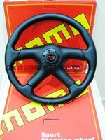 MOMO STRG IJAMwm.JPG