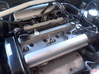 2011-01-12 17.15.57.jpg