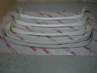 zzzlip gt ae111P1060030.jpg