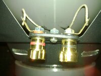 20110228_009.jpg