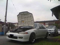 eg6
