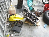 13.head on d ground.JPG