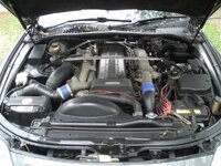 CIMG0064 (Large).JPG