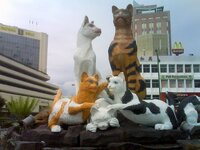 bandaraya kucing.jpg