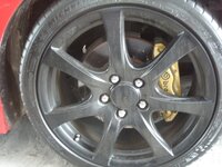 P1100019 (Medium).JPG