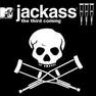 Jackass1980